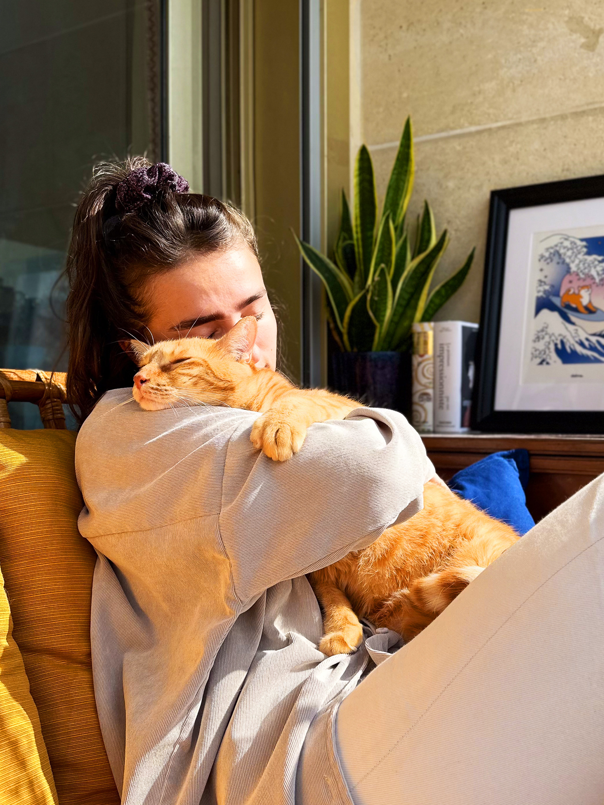 Person holding a cat